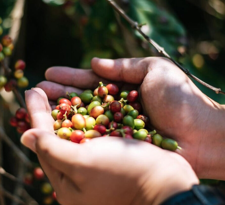 Tâm Đức Fresh Farm